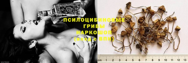 мескалин Алексин