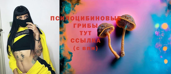 эйфоретик Алексеевка