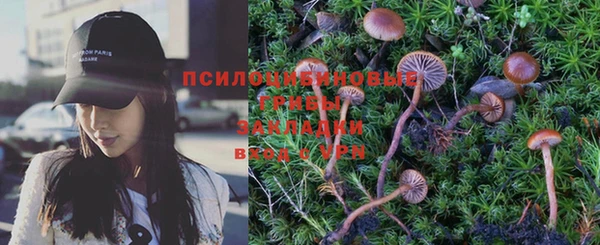 винт Алзамай