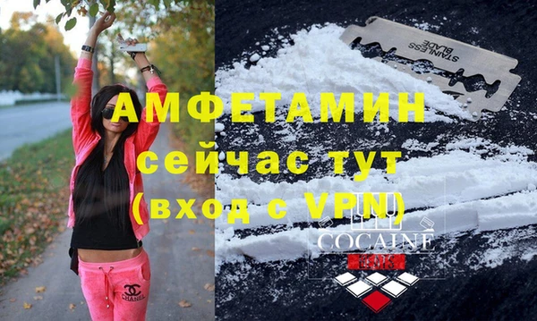 винт Алзамай