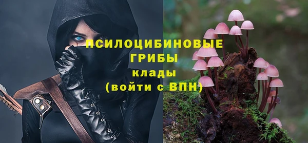 винт Алзамай