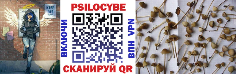 Псилоцибиновые грибы Psilocybe  цена наркотик  Миасс 