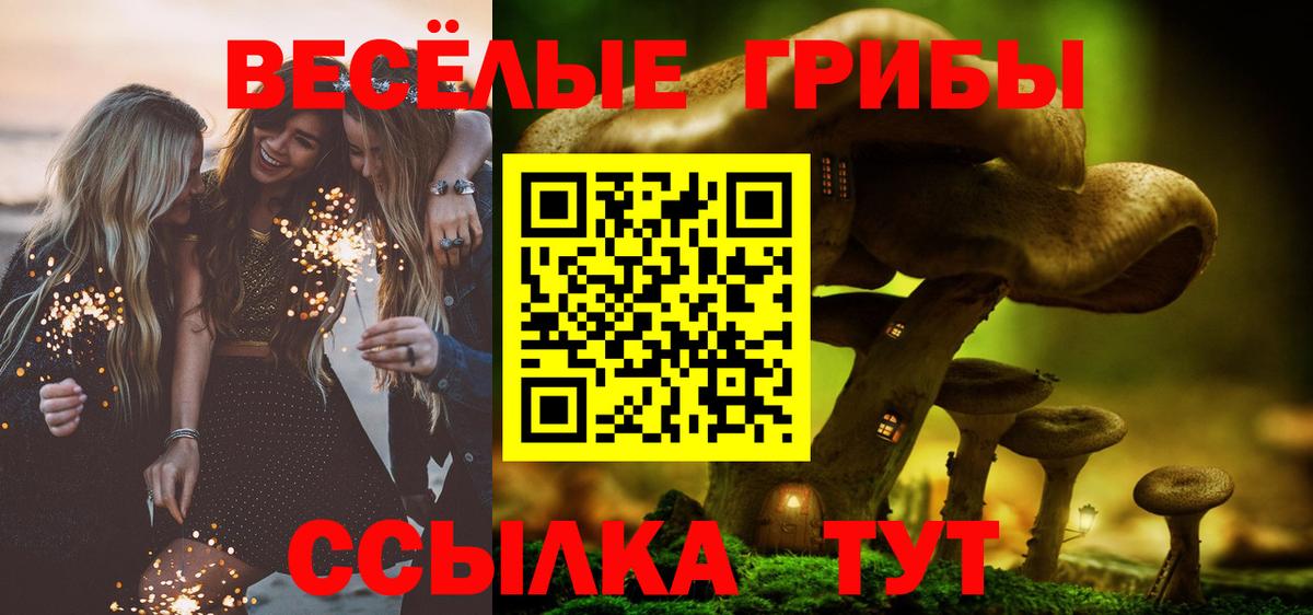 Миасс  Псилоцибиновые грибы Cubensis  Вход с VPN 